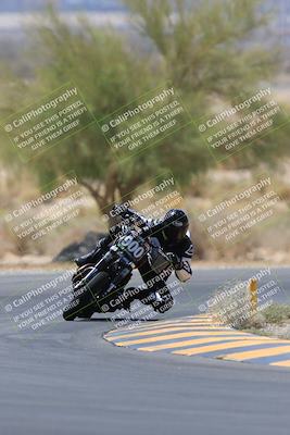 media/May-14-2023-SoCal Trackdays (Sun) [[024eb53b40]]/Turn 5 Tree of Life (1125am)/